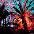 Biodom