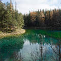 Grüner See