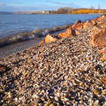 Balatonkenese, hullám, kagyló