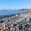 Balatonkenese, hullám, kagyló