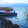 Csendélet, tél, Balatonalmádi