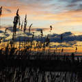 Balaton, Almádi, Napkelte