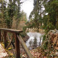 Kámoni Arborétumban - Szombathely