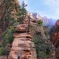 Angel's Landing trail, Zion NP, USA