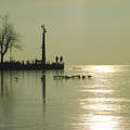 Balatonalmádi