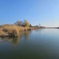 Holt Tisza