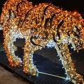 Lumina Park, Budapest, Margitsziget, fények, tigris