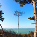 Balatonakarattya