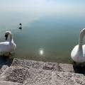 Balatonalmádi