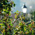 Veszprém
