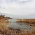 Alsóörs, Balaton