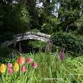 Pont du Parc Floral d'Olivet - Loiret - France 
