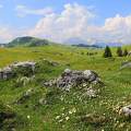 Velika Planina, Szlovénia