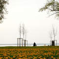 Balatonkenese