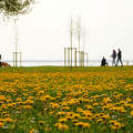 Balatonkenese