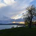Balatonfűzfő