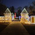 Lumina Park, Budapest, Margitsziget, fények,