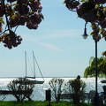 Balaton, Alsóőrs