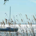 Balaton