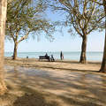 Balatonfüred, Tagore sétány és emlékfa park