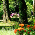 Szombathely, Kámoni arborétum