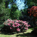 Szombathely, Kámoni arborétum