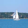 Balaton, vitorlás