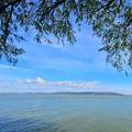 Balaton