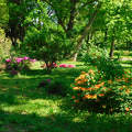 Szombathely, Kámoni arborétum