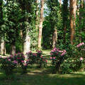 Szombathely, Kámoni arborétum