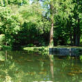Szombathely, Kámoni arborétum