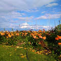 Balatonfüred