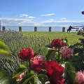 Balatonkenesei pihenő