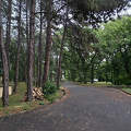 Balatonfűzfő