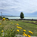 Balaton, Tihany