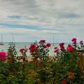 Balatonalmádi, Szent Erzsébet liget
