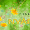 grafika, nyár