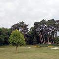 Keszthely Festetics-kastély, park