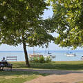 Balatonalmádi, Szent Erzsébet liget