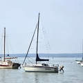 Balaton