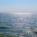 Balaton, csillogás, vitorlások