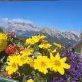 Dolomitok