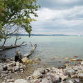 Tihany