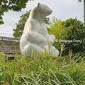 Ours blanc - Zoo de Beauval