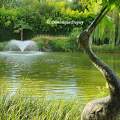 Les Jardins de Beauval