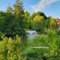 Jardins de Beauval