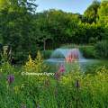 Jardins de Beauval