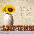 szeptember, grafika