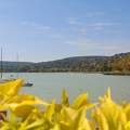 Balatonalmádi.
