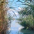 Balatonalmádi.